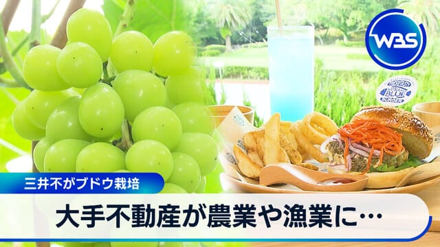 三井不動産農業参入